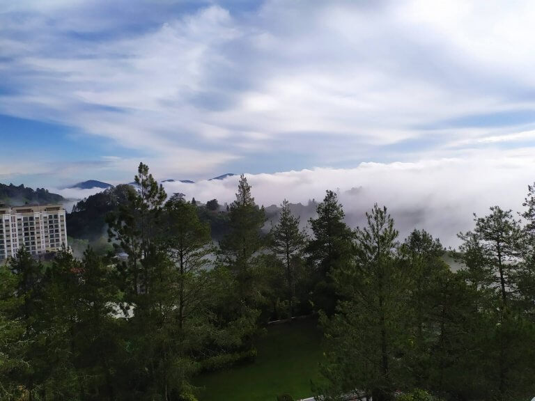 Pengalaman Ke Cameron Highland